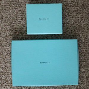 Tiffany & Co. Company - 2 Turquoise Gift Boxes